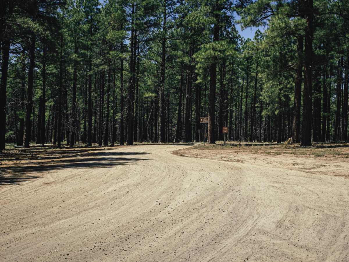 Spring Valley Cutoff trail photo