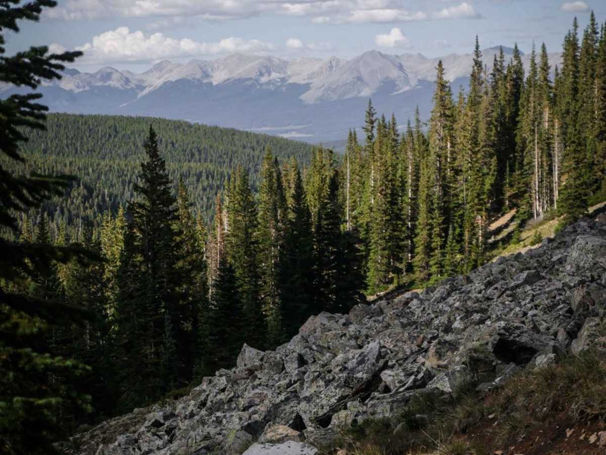 Gold Creek (South) trail photo