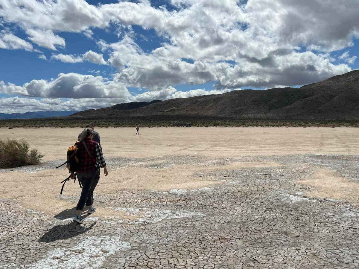 Clark Dry Lake photo 6