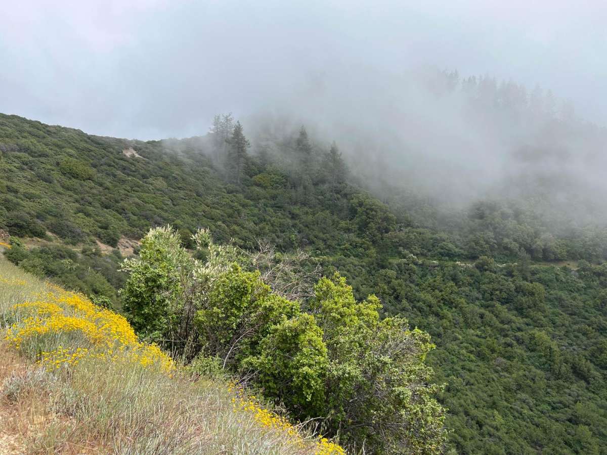Zaca Ridge Road photo 4