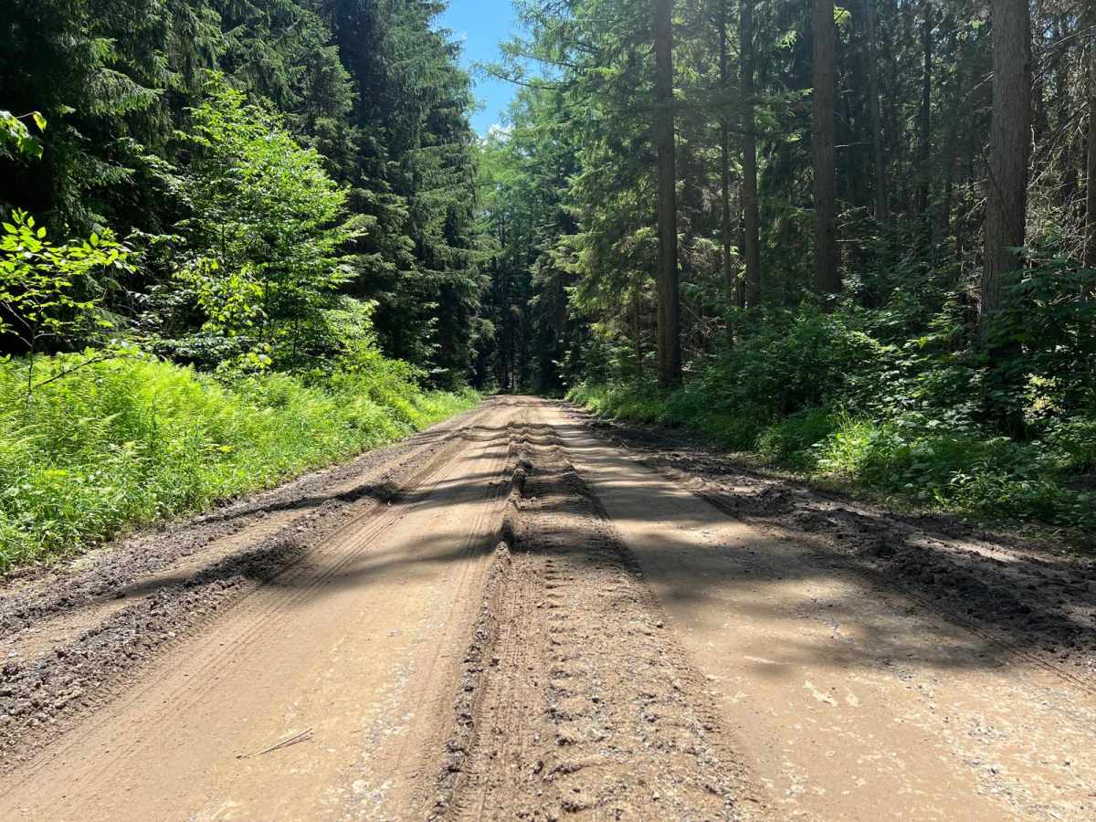 Thompson Hollow Road photo 4