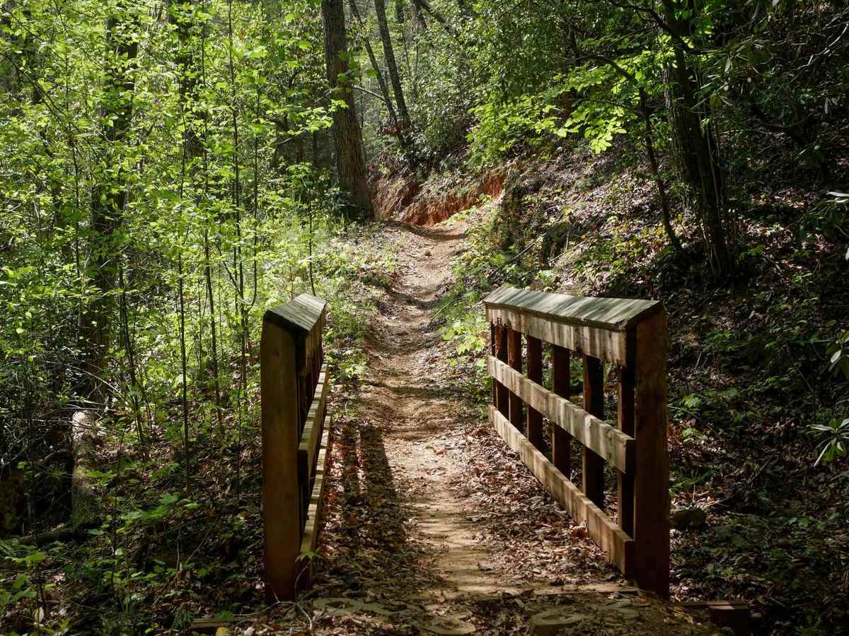 Double Bridges Trail F trail photo