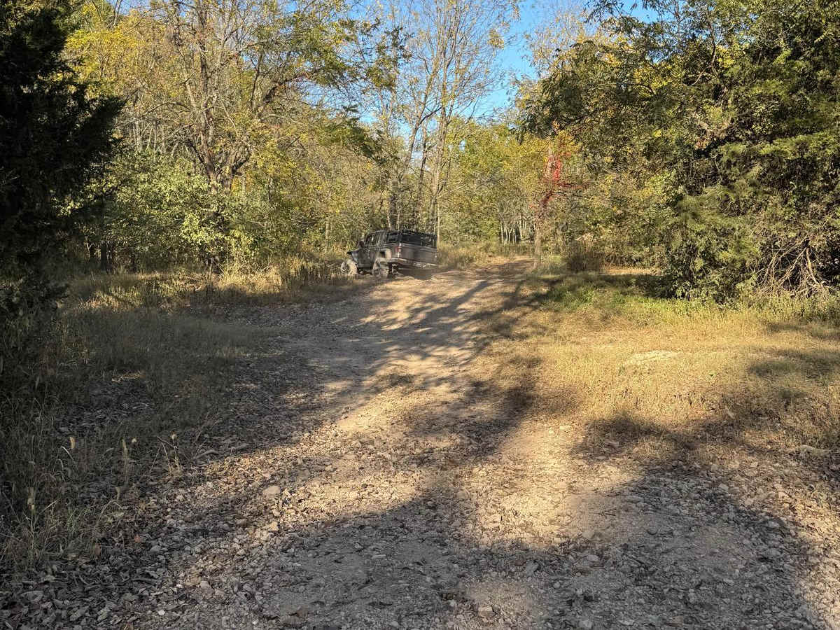 Area 51 trail photo