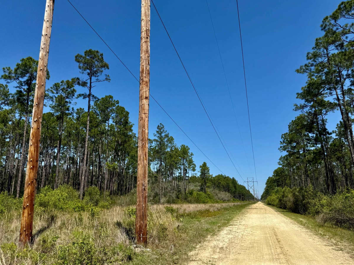Devon Creek 166 photo 6