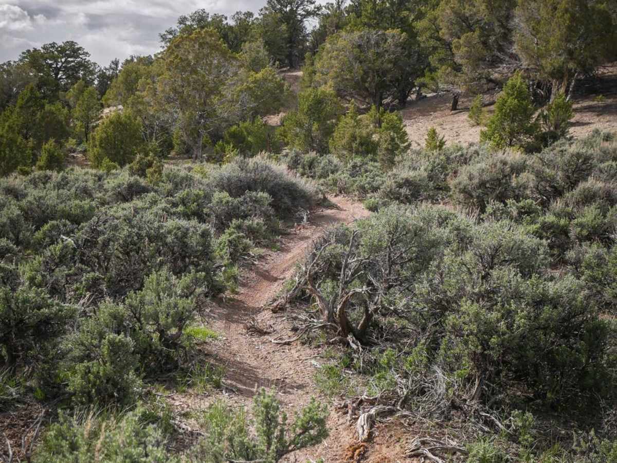 Elk Drop trail photo