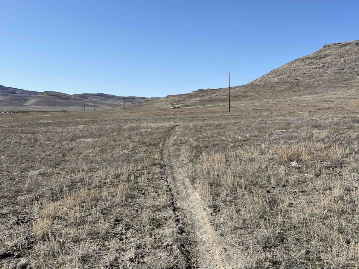 Cow Connector photo 6