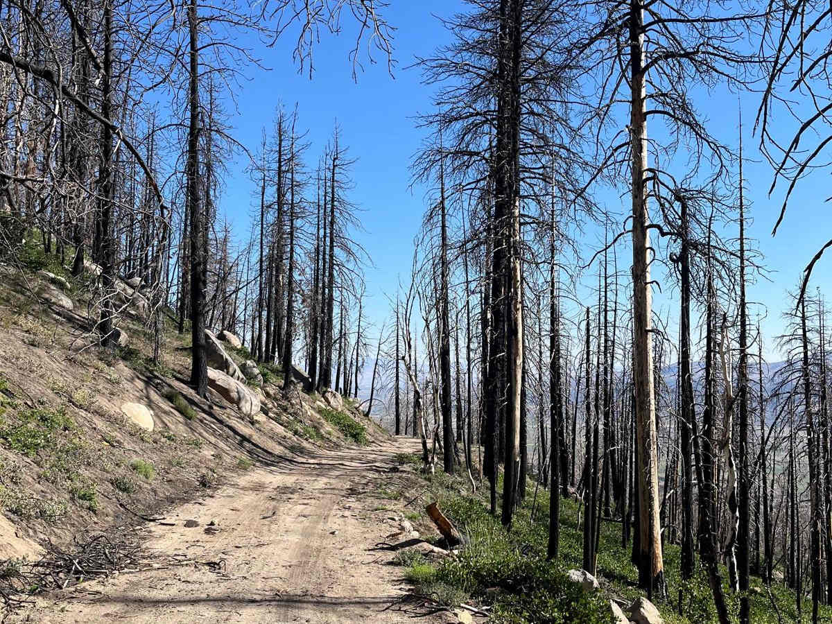 Crofts Follie Trail photo 5