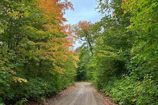Sucker River Road