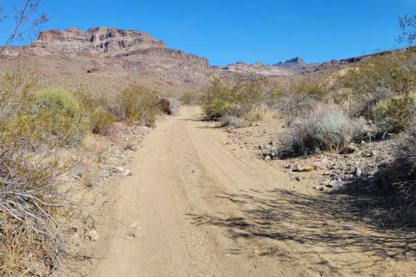 Cottonwood Canyon