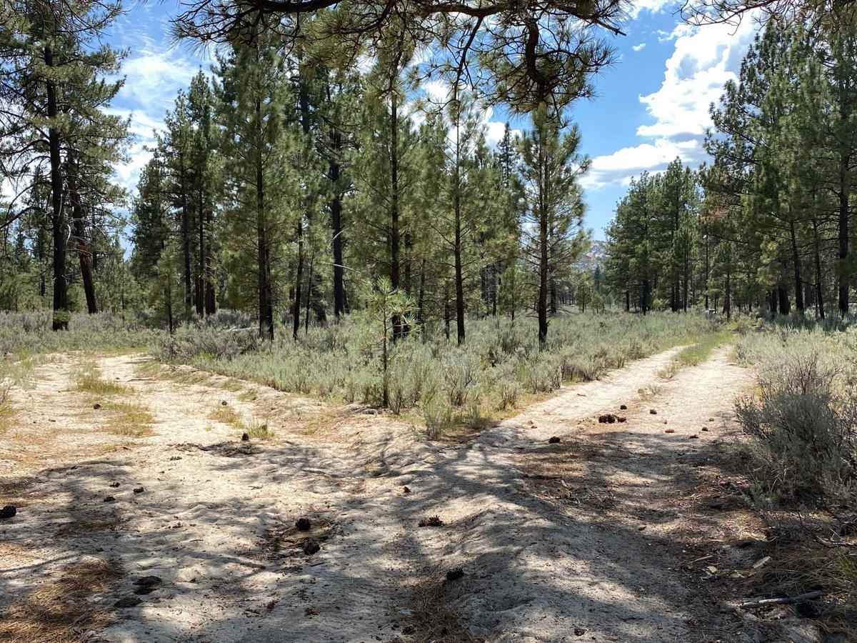 Laguna Hanson Road Detour photo 6