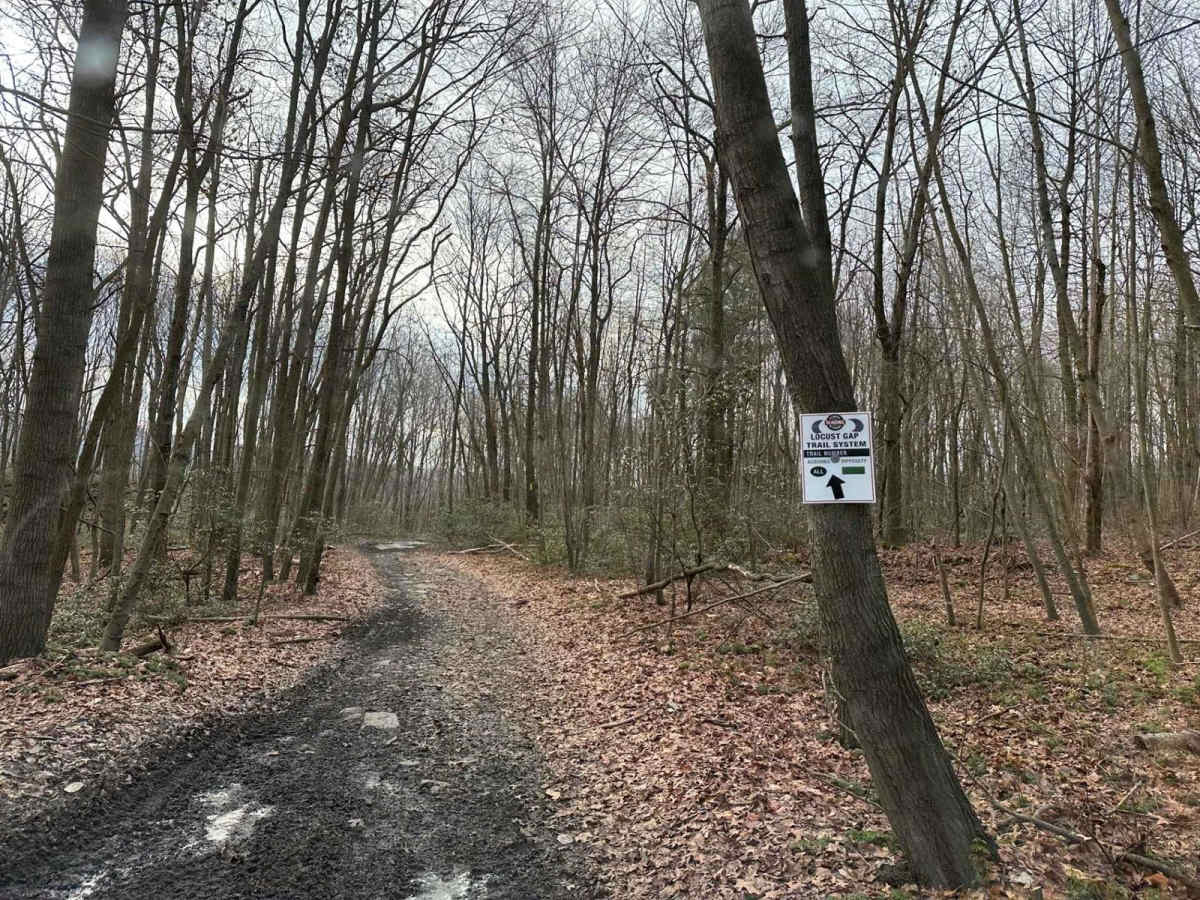 Locust Gap 78 photo 4