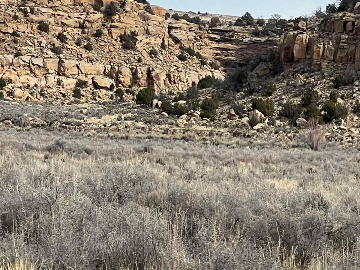 Middle Largo Canyon photo 2