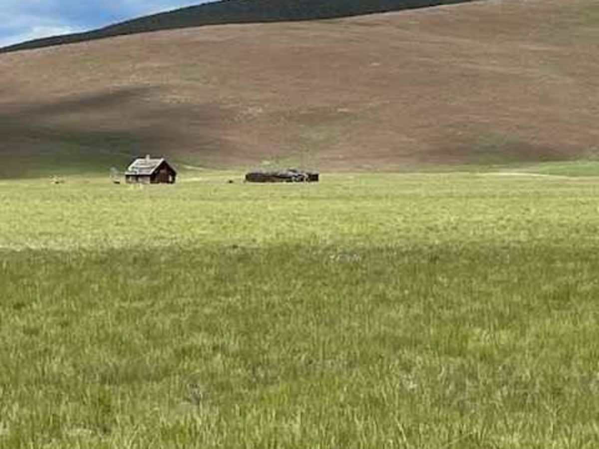 Niarada to Irvine Flats photo 3