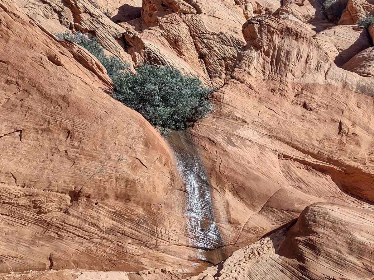 Red Cliffs Rec Area to Virgin River photo 5