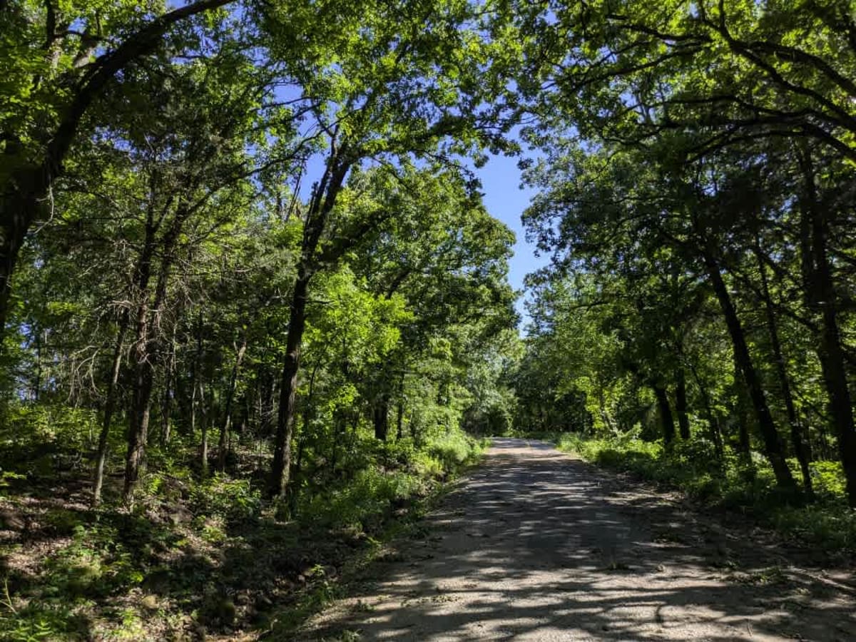 South Burnt Cabin Road - Southern Portion photo 6