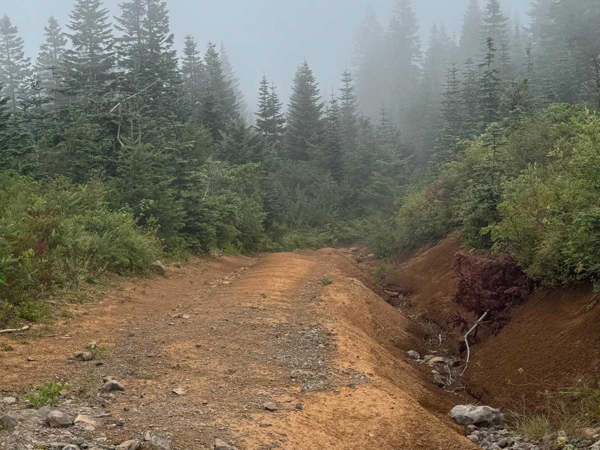 Three Corner Rock trail photo