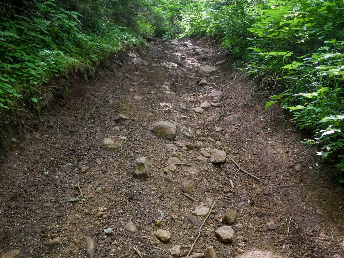 Hunt Hill trail photo