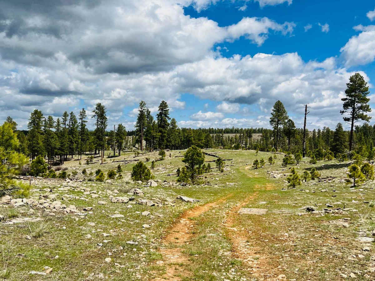 Long Valley West trail photo