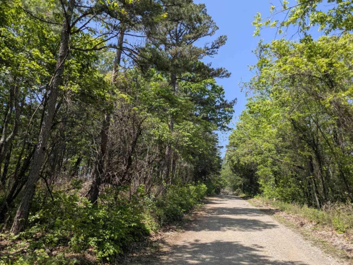 County Road 74 photo 3