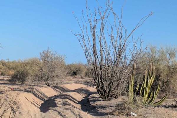 The Cortez Sand Trail
