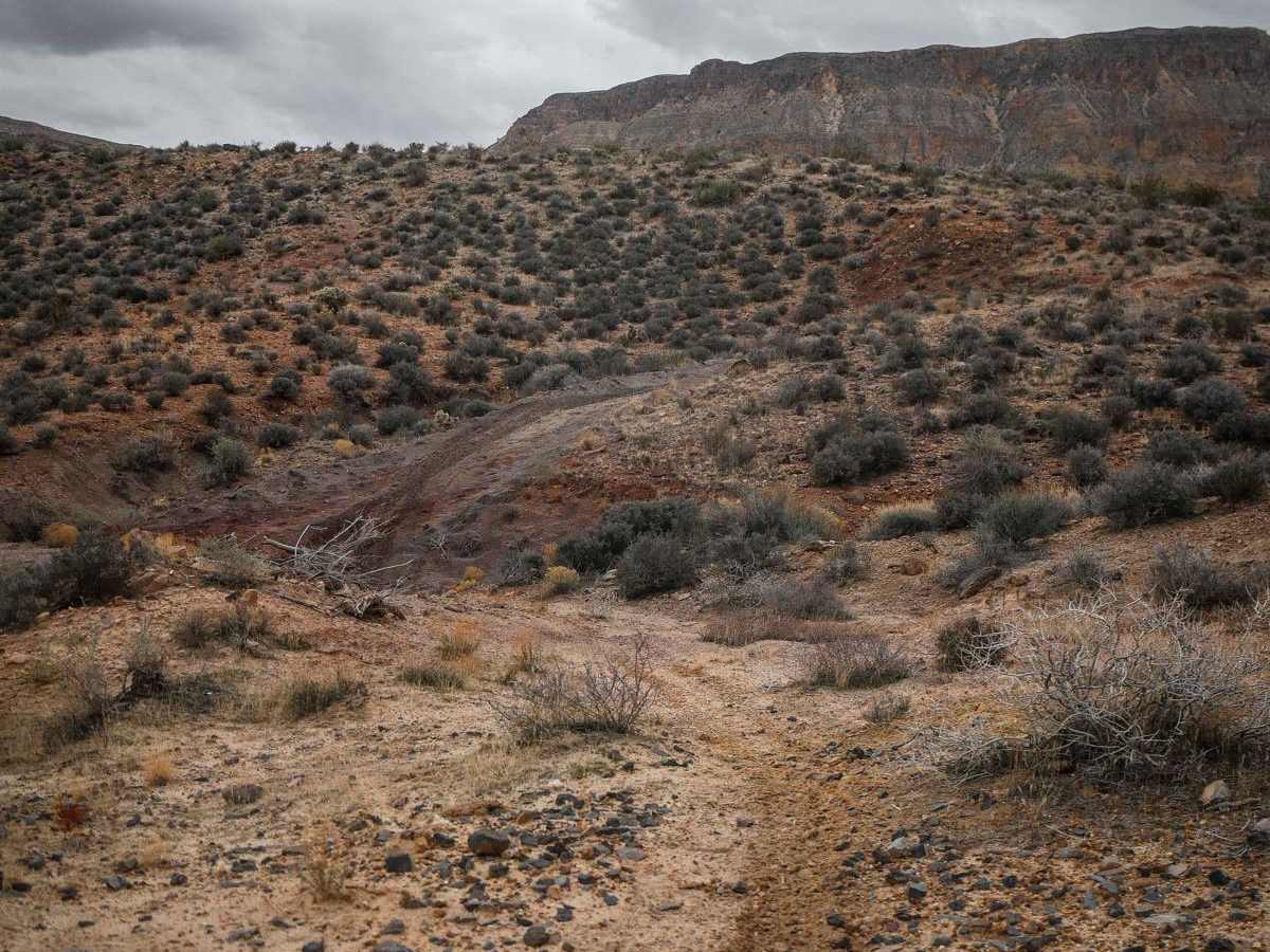 2066 Single Track trail photo