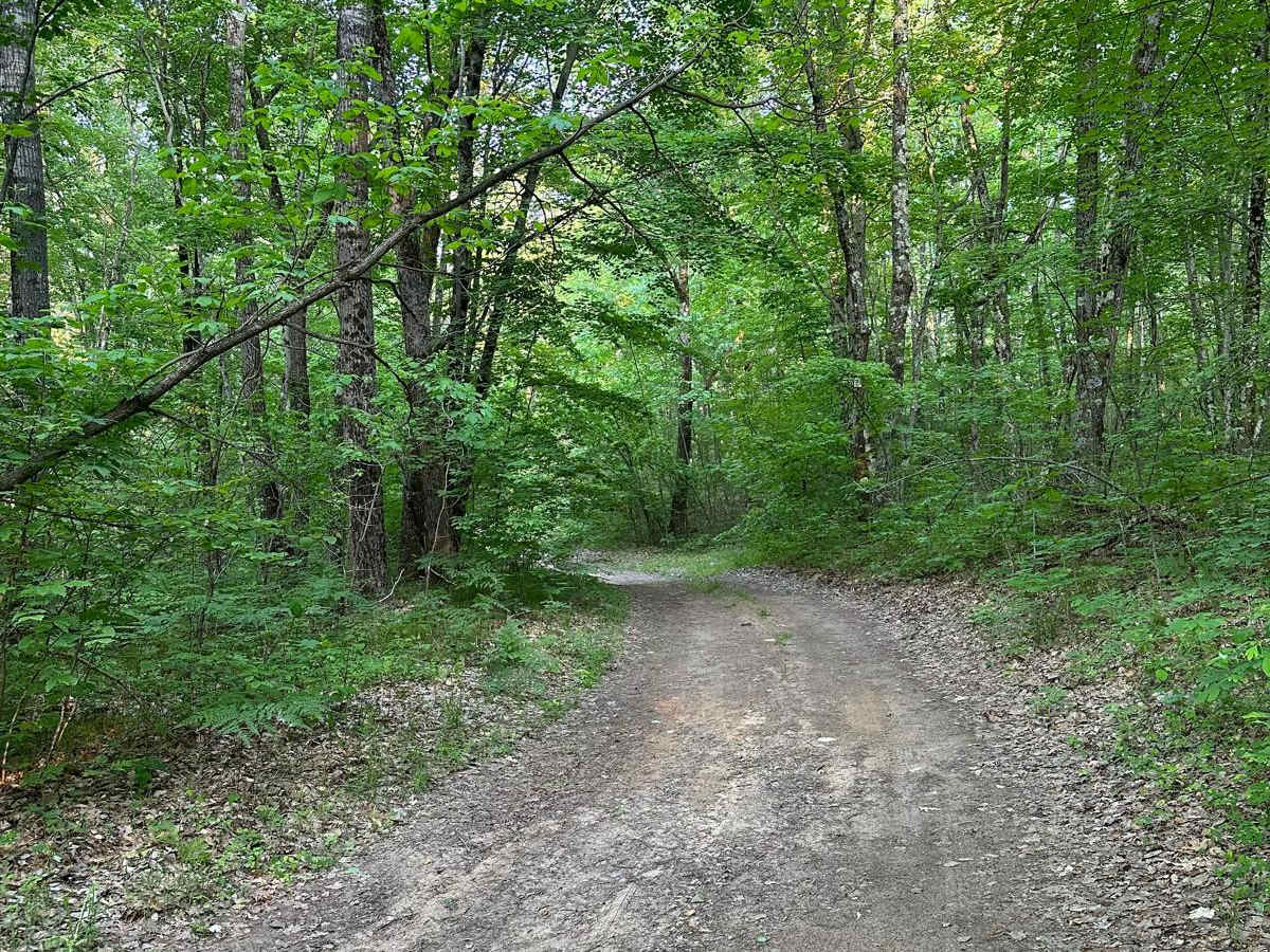 5717/Lynn Drive trail photo
