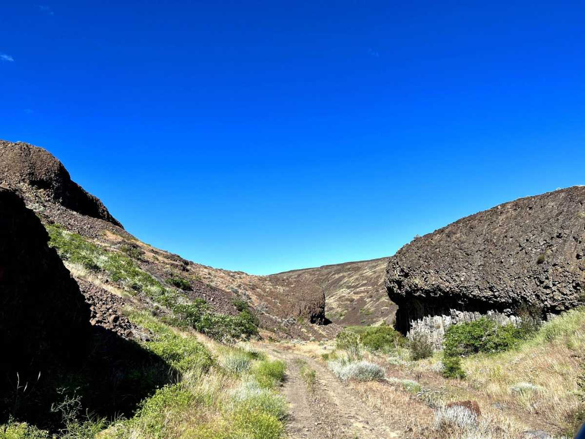 Homestead Trail photo 5