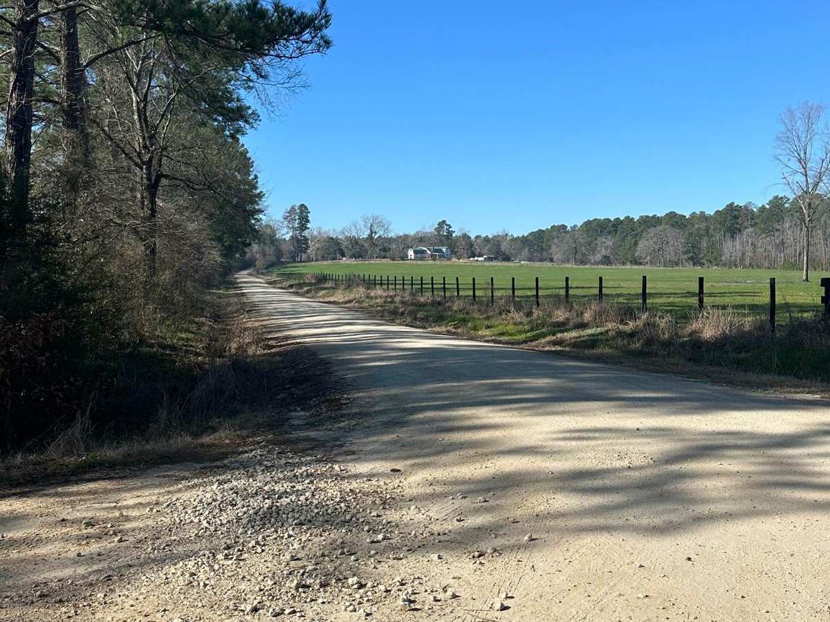 County Road 1155 photo 2