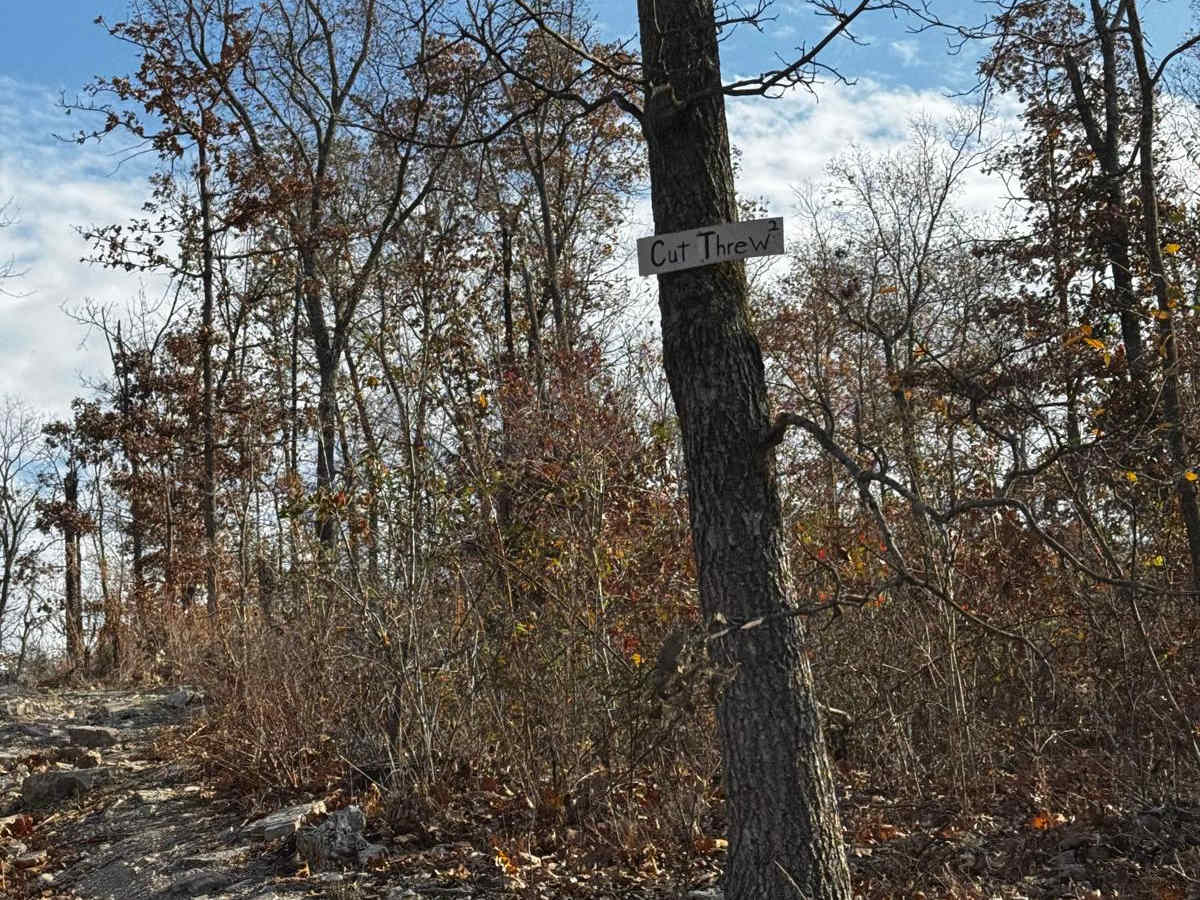 Cut Through trail photo