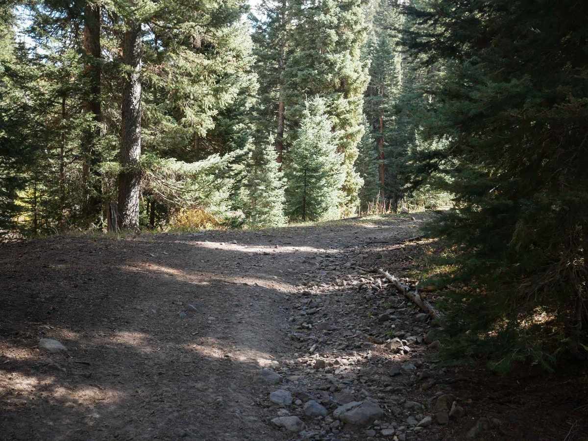 B Spur photo 2