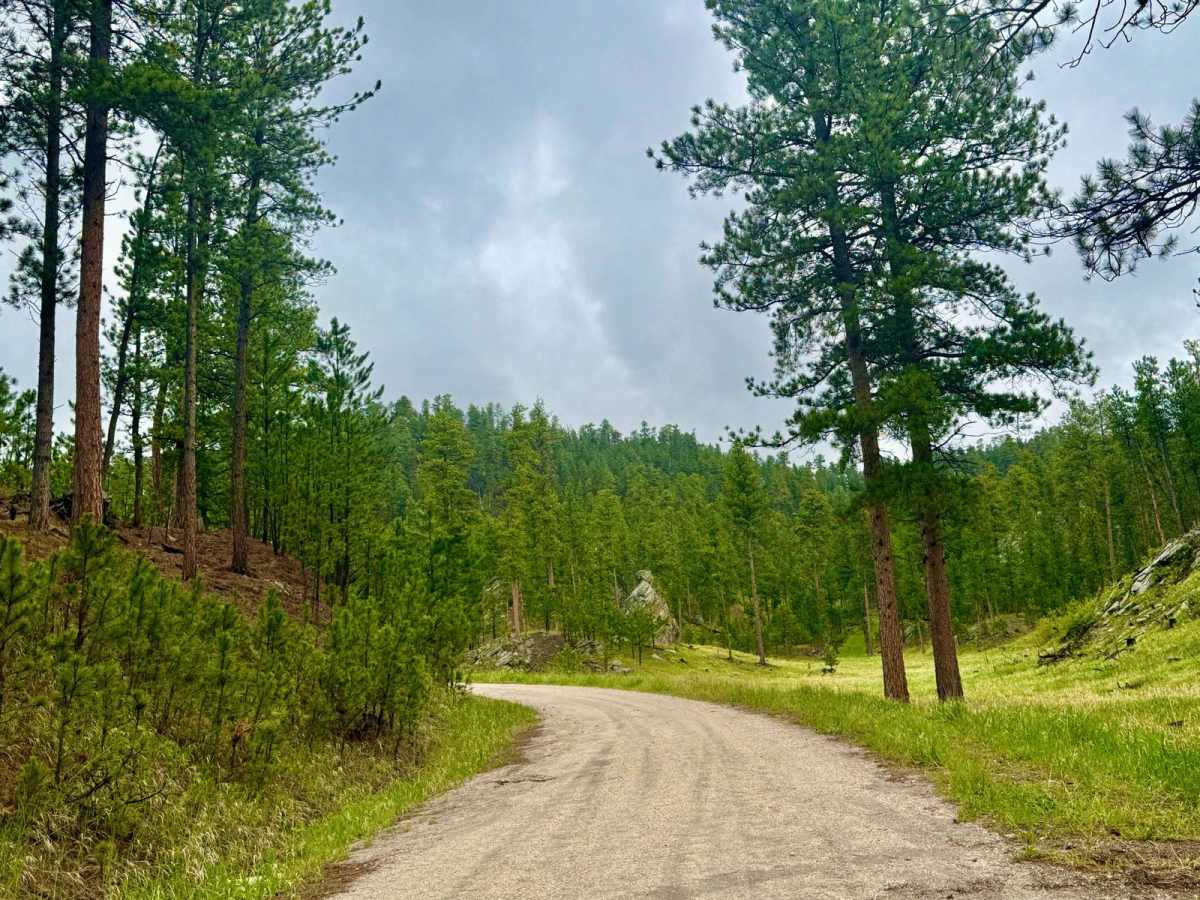 Cowboy Gulch trail photo