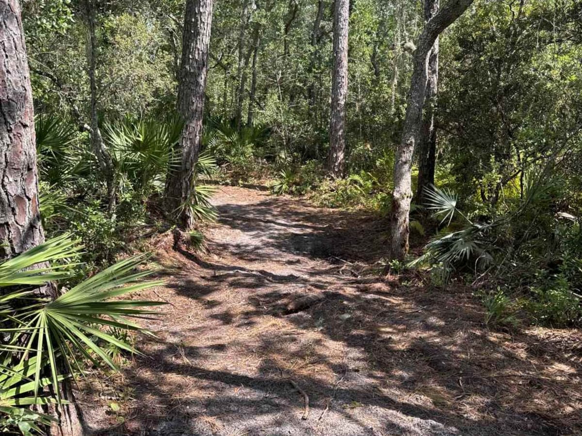 Telephone Trail - ONF 71 photo 3
