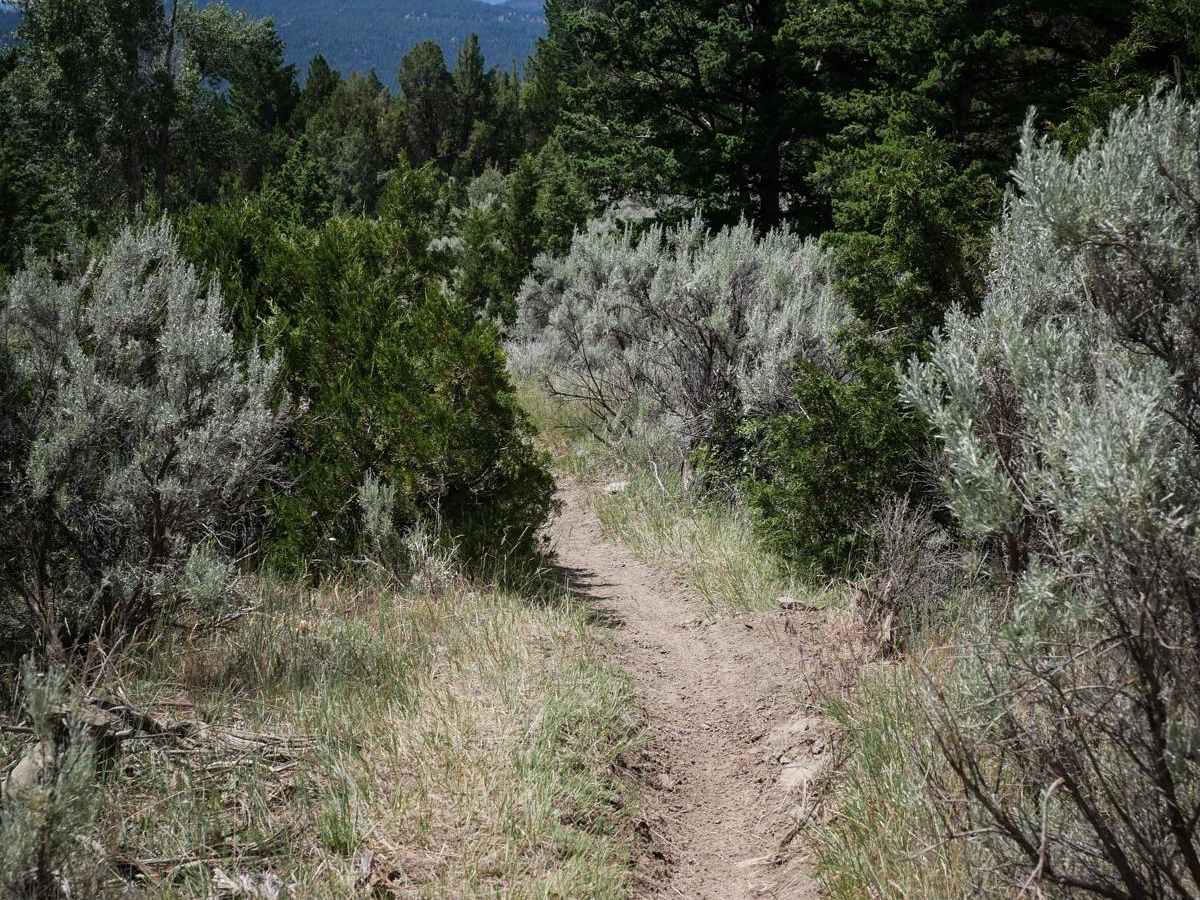 Track Turn photo 2