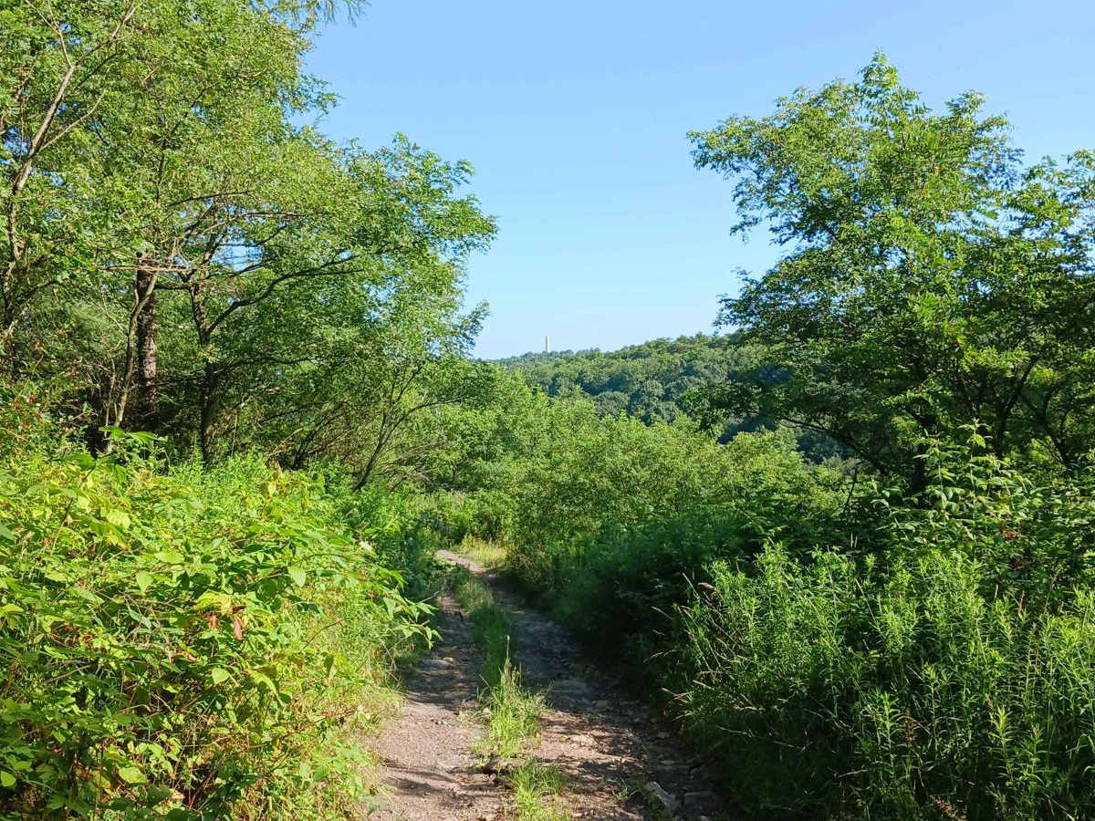 Trail 12Q - Rock Run Recreation Area photo 5