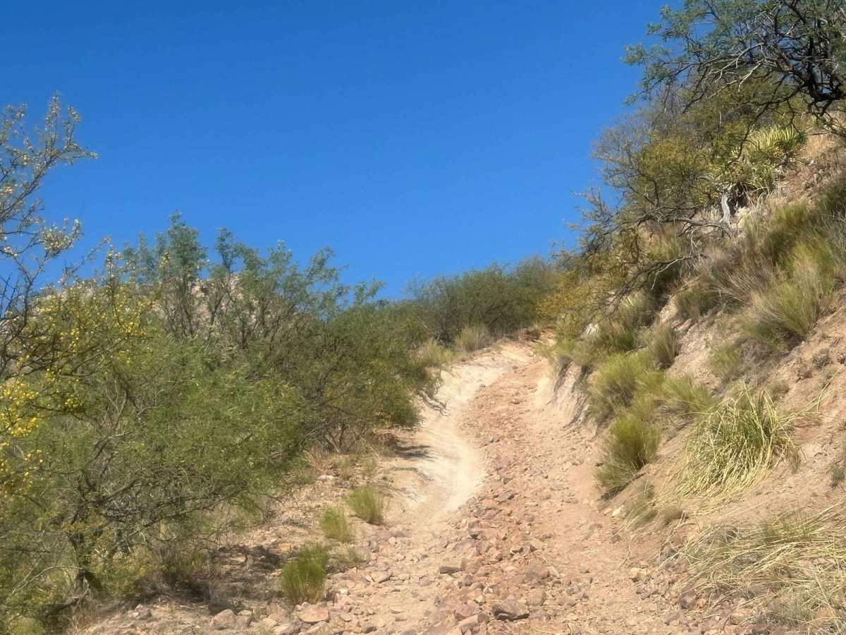 Eagle Peak photo 6
