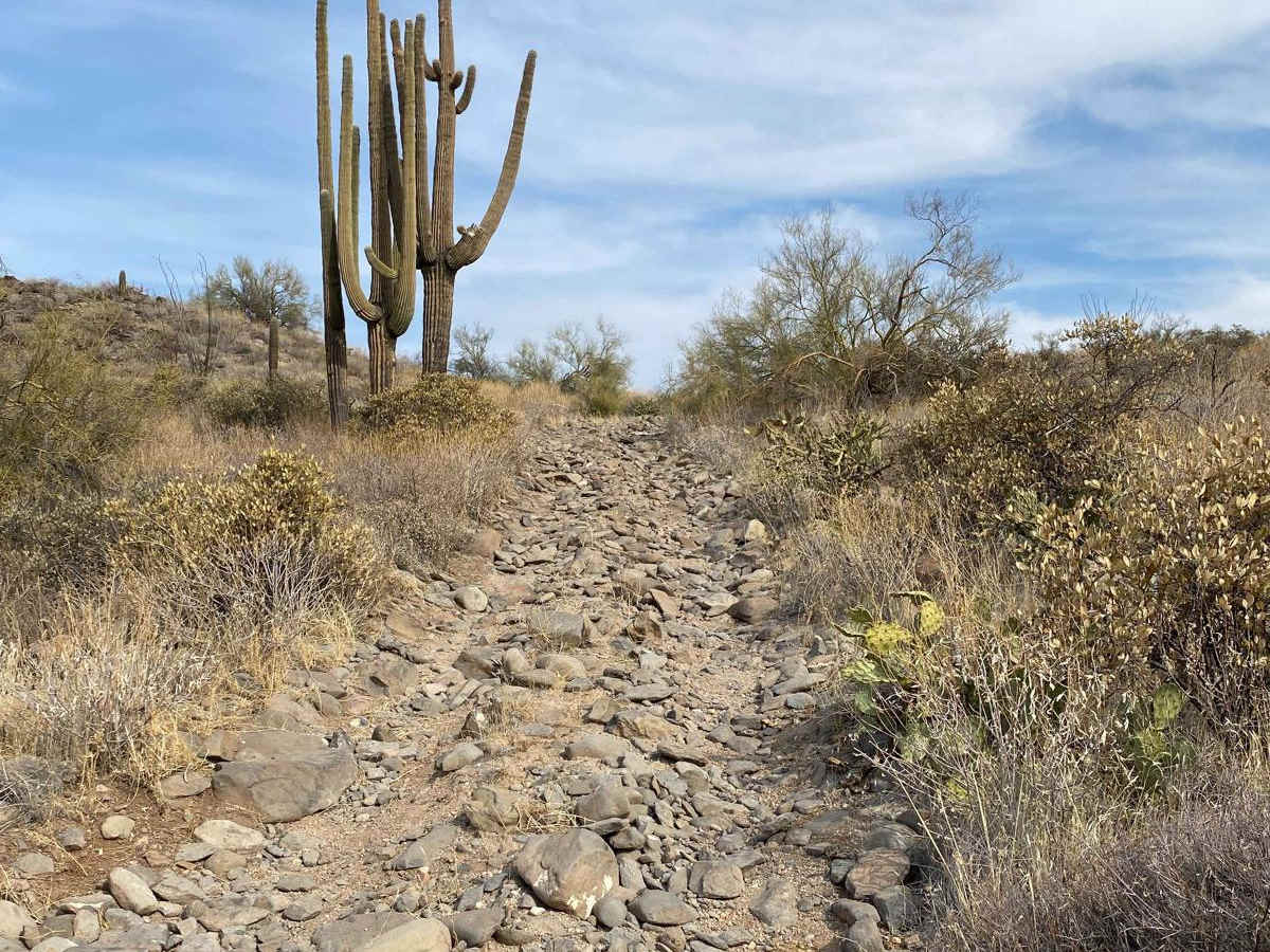 160C - Eagle Viewpoint trail photo