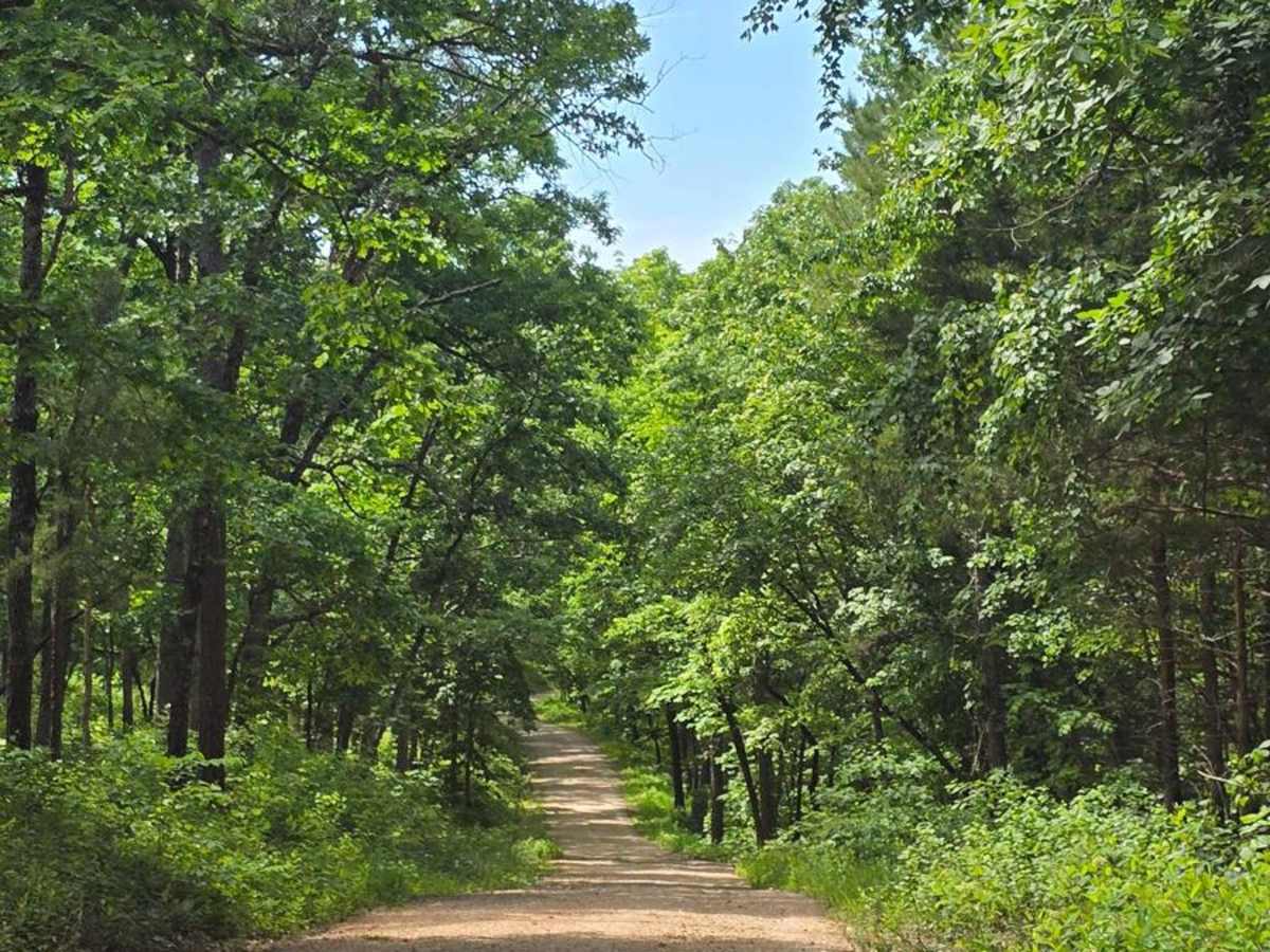 Kaintuck Hallow - FS 1592 trail photo