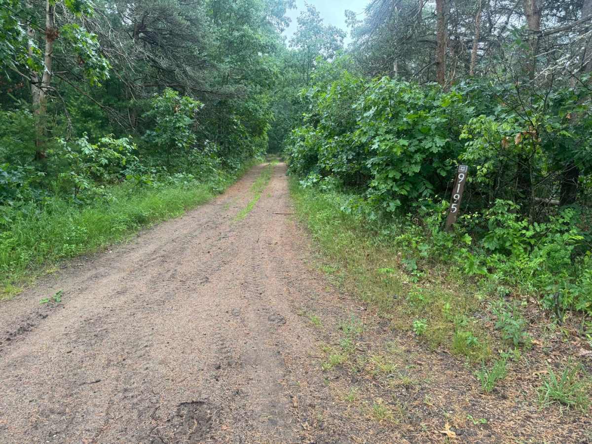 Forest Route 9195 trail photo