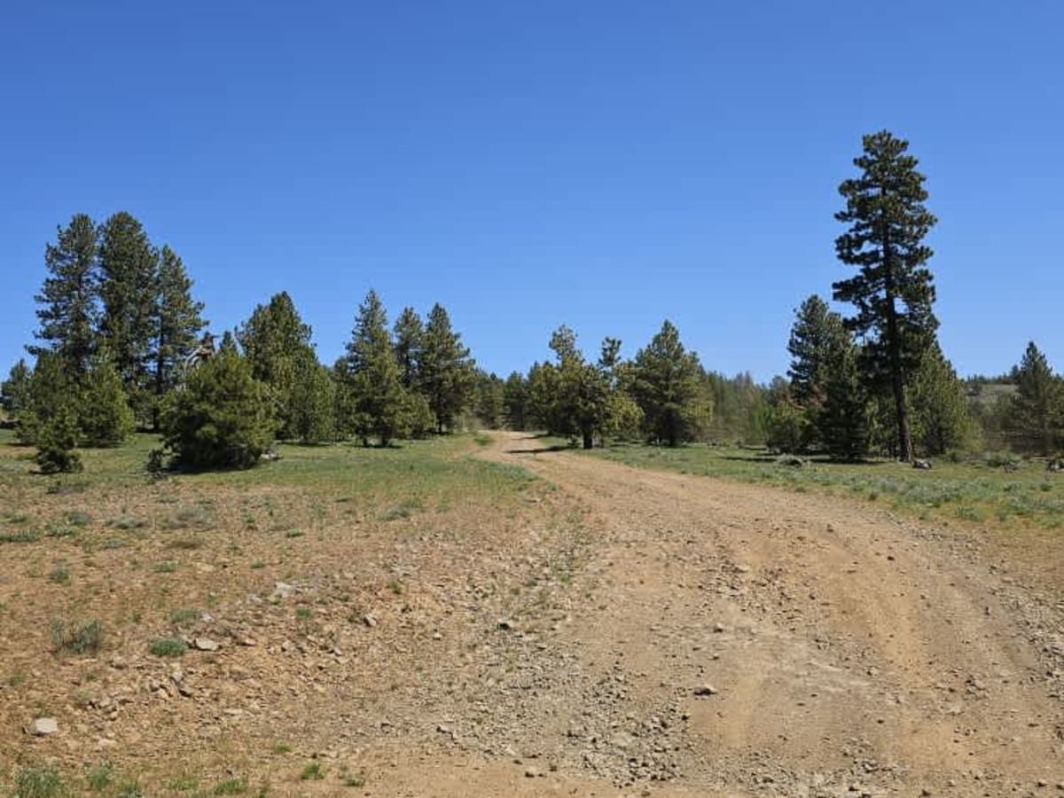 East Fork Road photo 4
