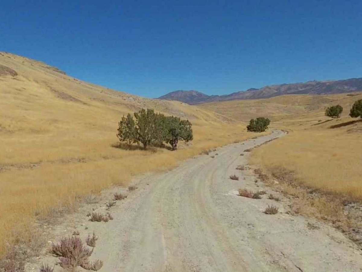 Slow Elk Wash Road-TC02850 trail photo