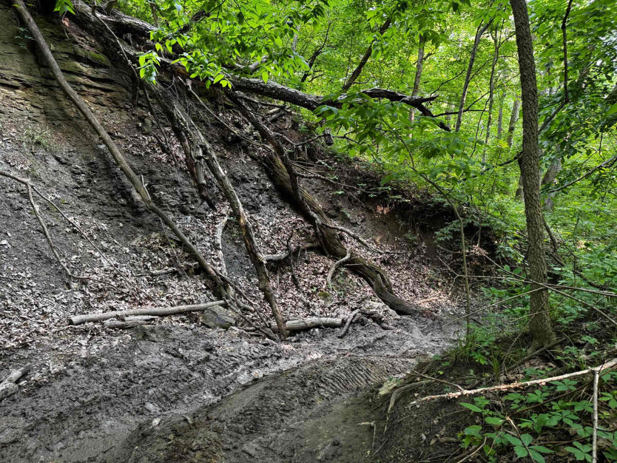 Rattleback 80 photo 4
