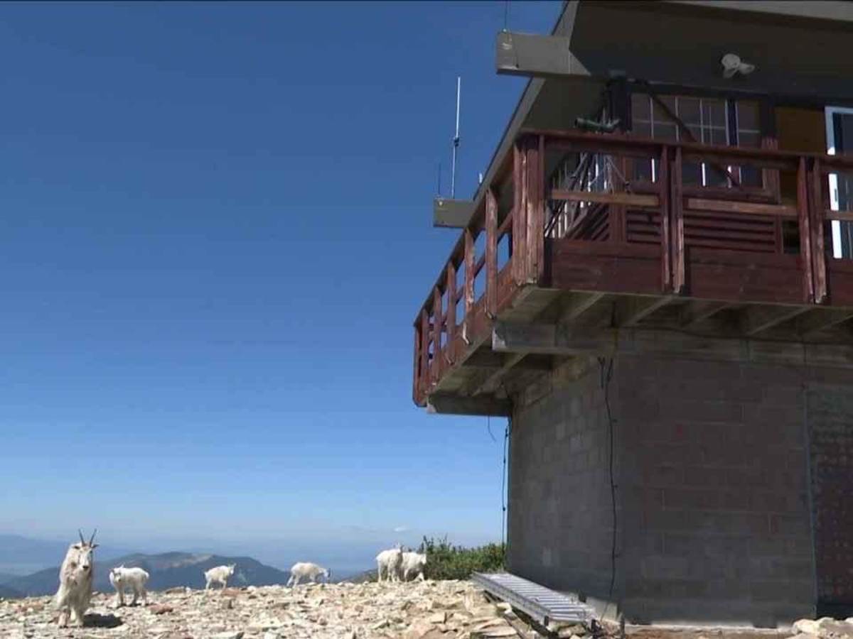 Stonewall Mountain Lookout photo 6