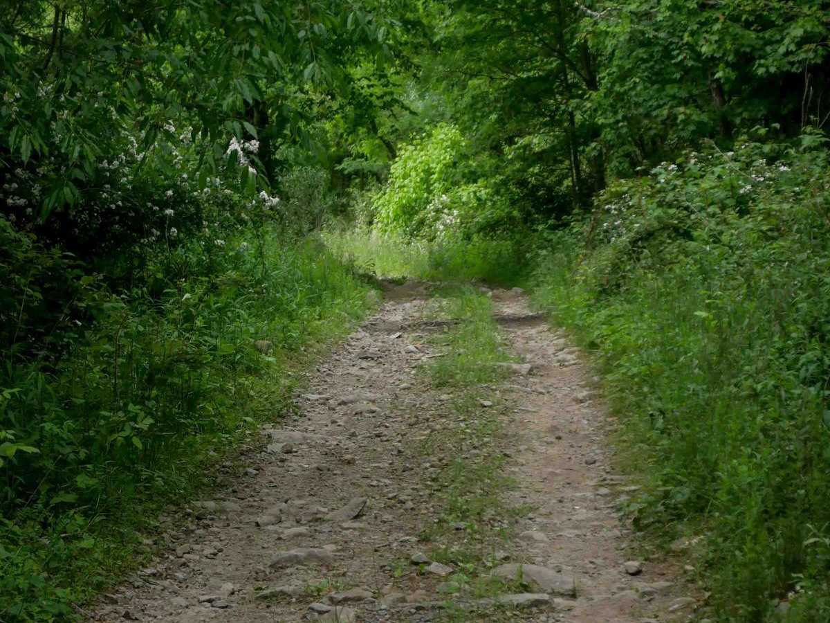 MV13 photo 6