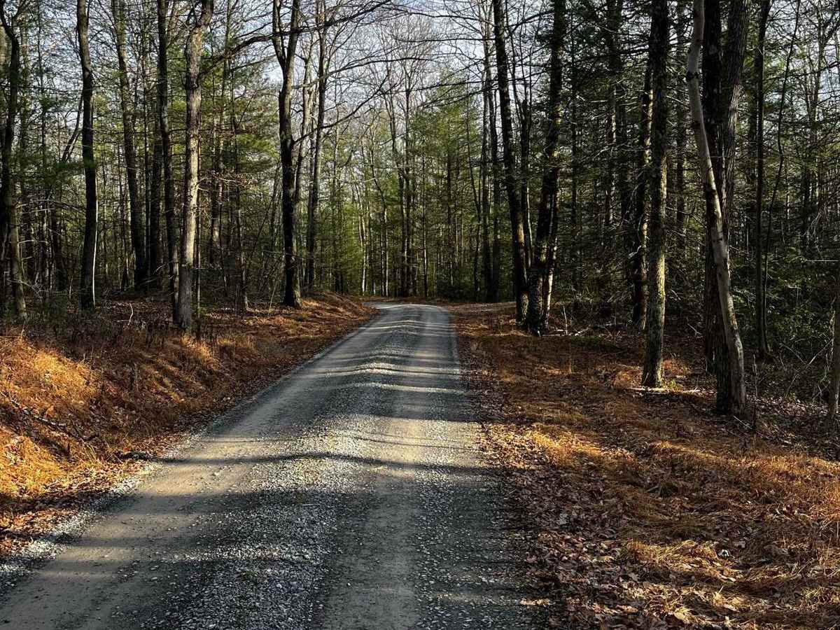 Hunter Road photo 5