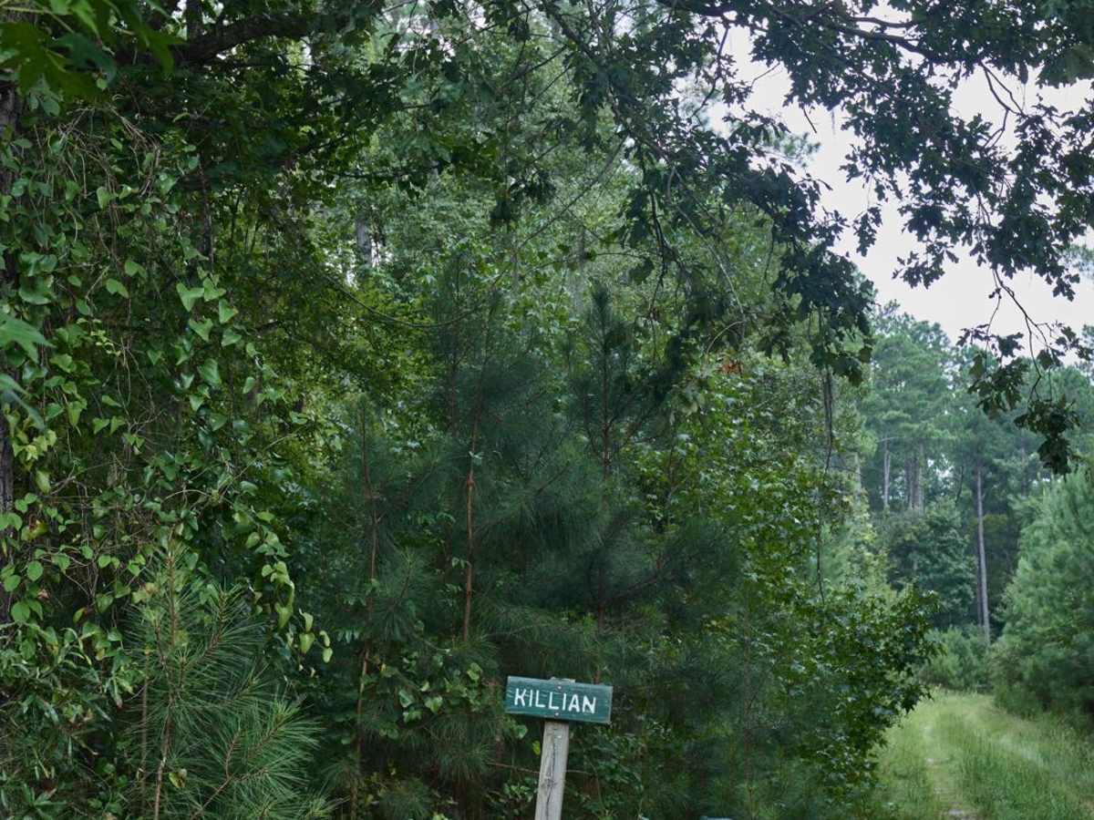 Killian Swamp Road trail photo