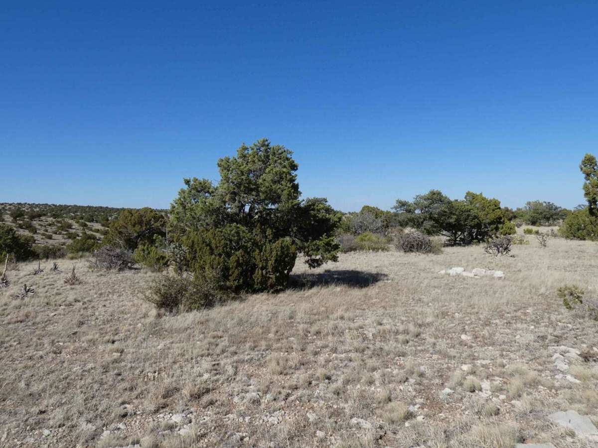 Corkscrew photo 4