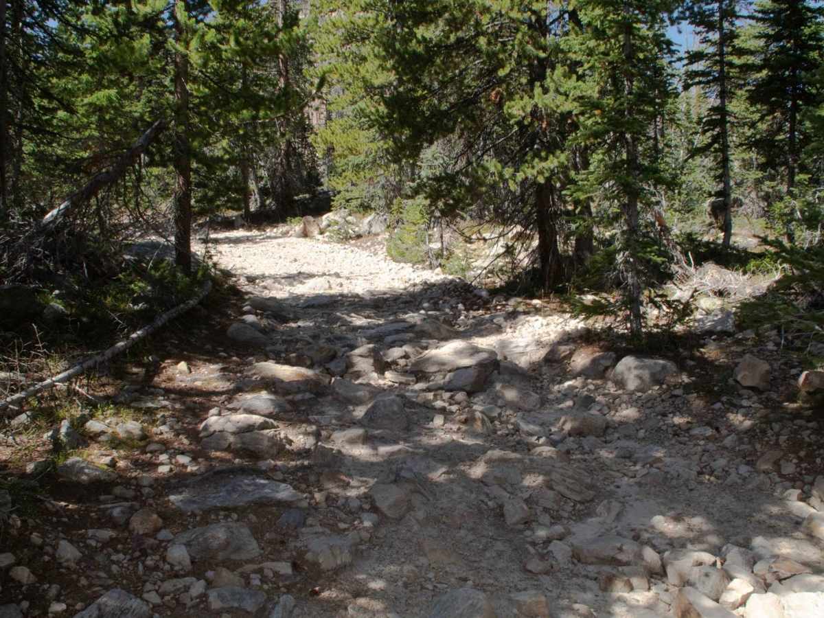 Marshall Lake Loop photo 4