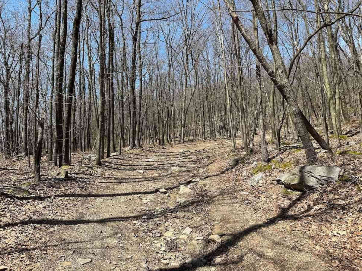 St. Keirns 57 trail photo