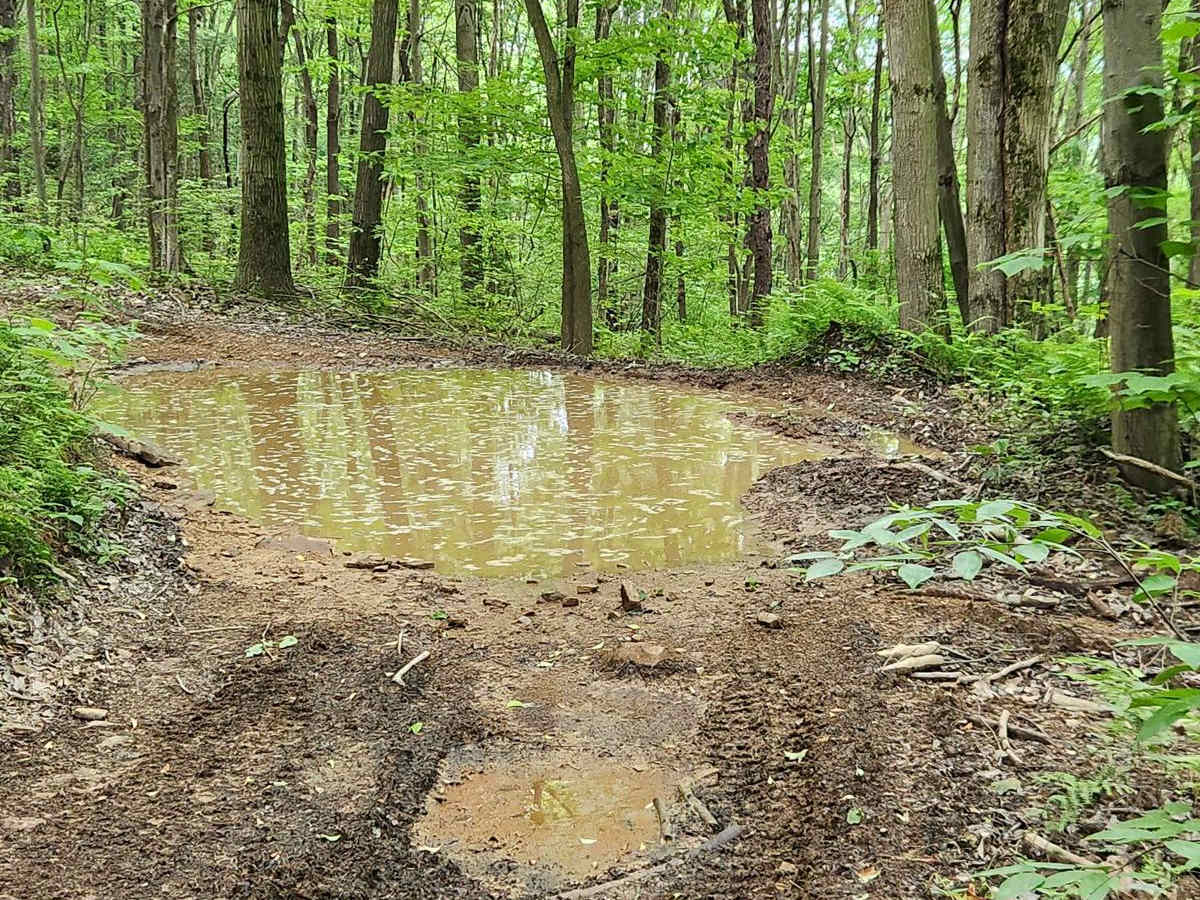Trail 2 - Black - Rock Run Recreation Area photo 5
