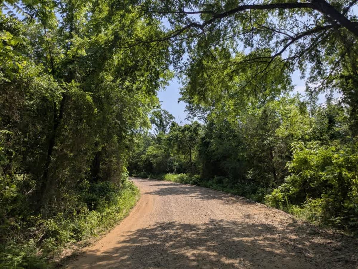 E0960 trail photo